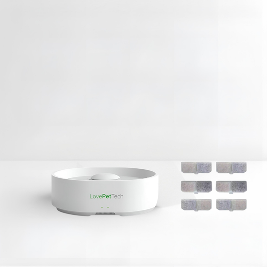 Pack Fontaine intelligente LovePetTech avec filtres de rechange – offre exclusive -15 %, vue e-commerce sur fond blanc.